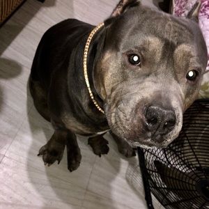 Meet your Posher, Ramon